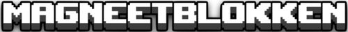 MagneetBlokken
